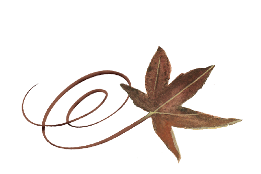 Fall Leaves for Fall Weddings | Leaves Graphics & Fall Wedding Ideas